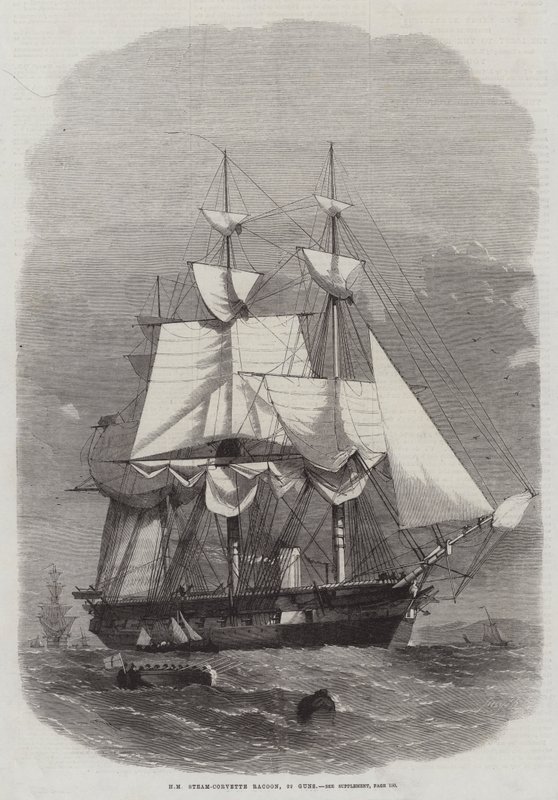 HM Steam-Corvette Racoon, 22 kanoner af Edwin Weedon