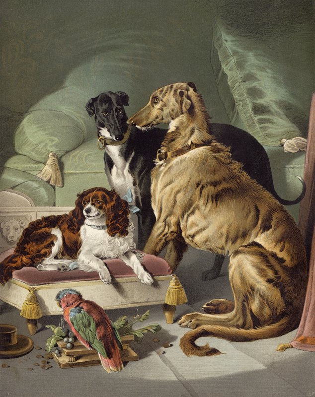 Dash, Hector, Nero og Lory af Edwin after Landseer