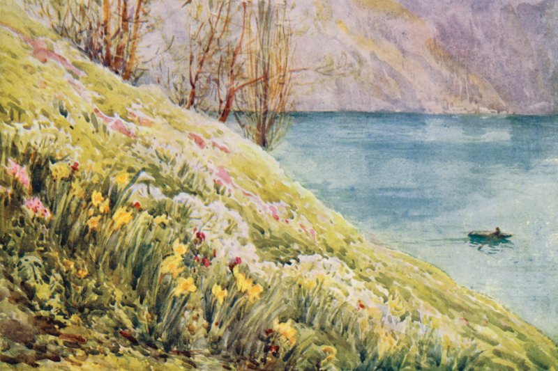 Schweiz af Effie Jardine