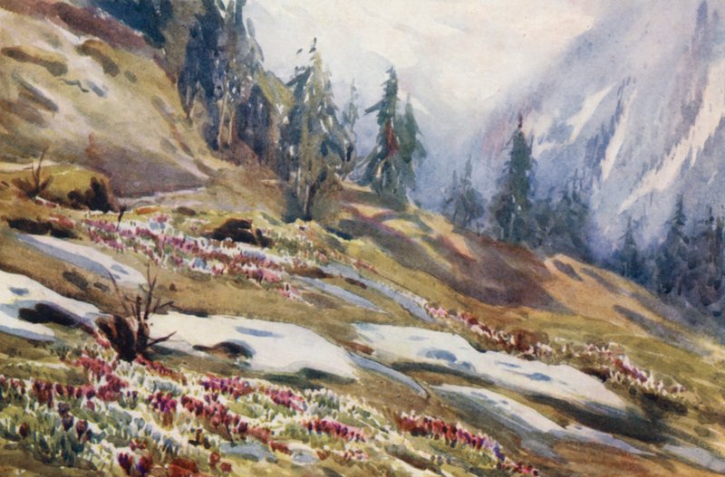 Schweiz af Effie Jardine