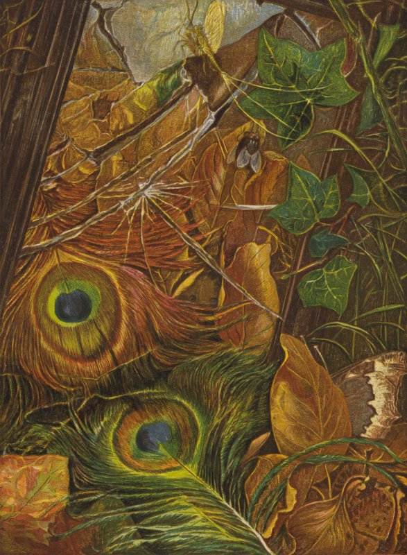 Og barnet brød sig intet om udseendet (farve litho) af Eleanor Fortescue Brickdale