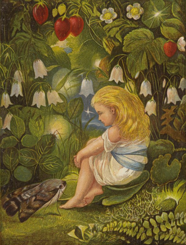 Sladderen med ildfluerne (farve litho) af Eleanor Fortescue Brickdale