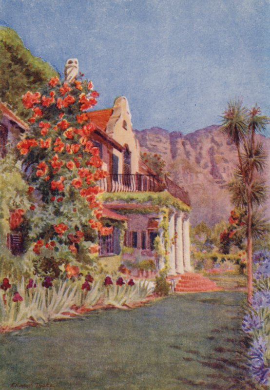 Bignonia grandiflora ved Paradise, Claremont (farvelitografi) af Elizabeth Drake