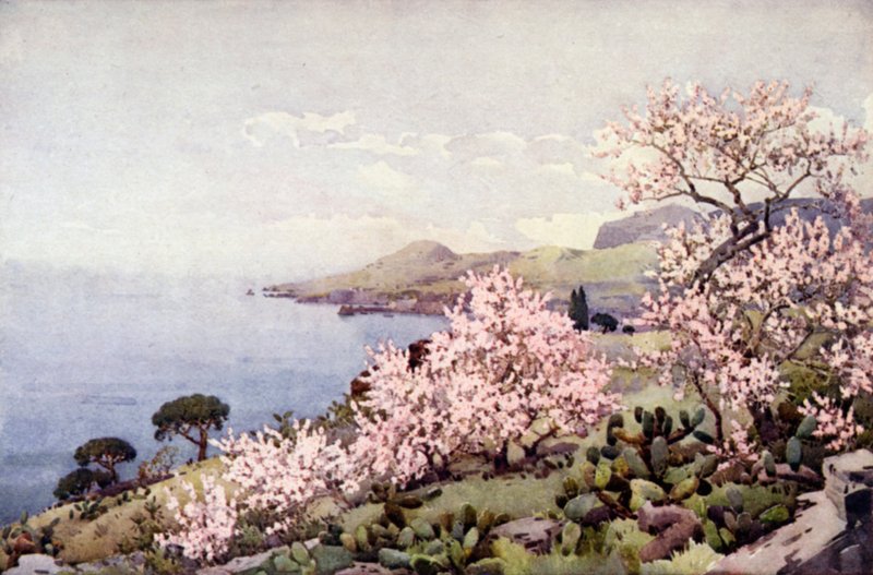 Mandelblomst (farve litho) af Ella Du Cane