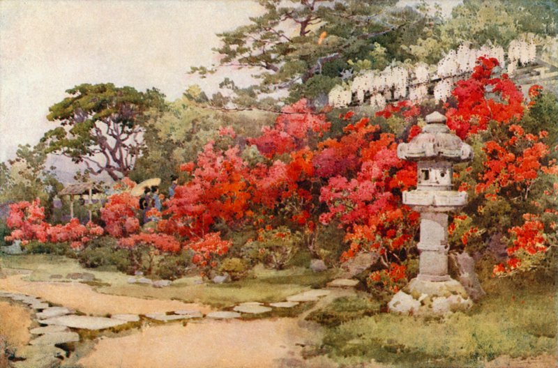 Azalea, Awata (farve litho) af Ella Du Cane