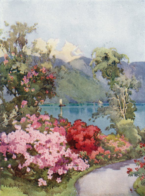 Azaleaer, Comosøen (farve litho) af Ella Du Cane