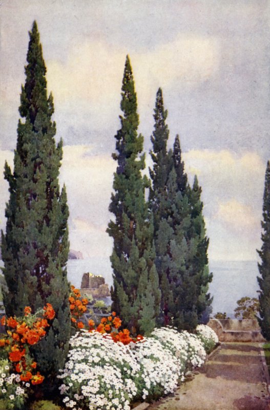 Cypress Avenue, Quinta Stanford (farve litho) af Ella Du Cane