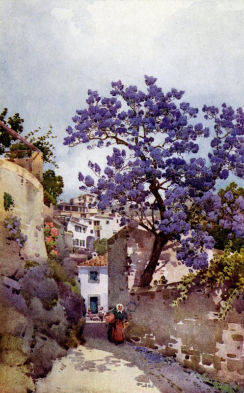 Jacaranda træ (farve litho) af Ella Du Cane
