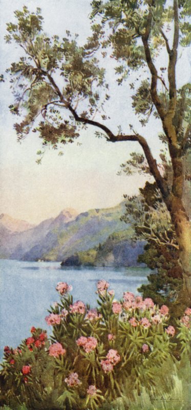 Lake Lecco, Comosøen (farve litho) af Ella Du Cane