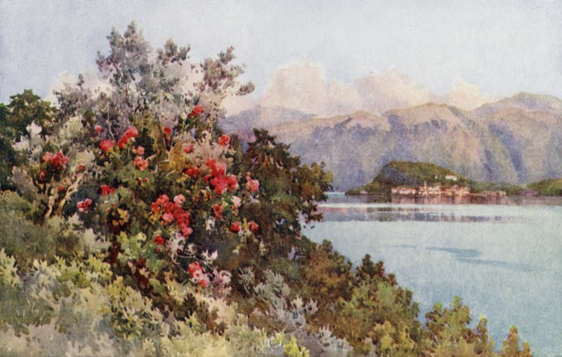 Roser, Villa Carlotta, Comosøen (farve litho) af Ella Du Cane