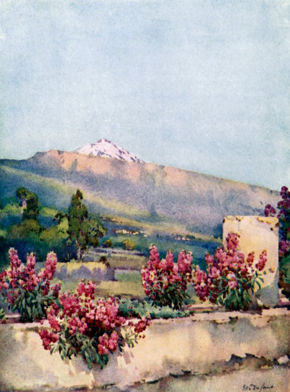 The Peak, fra Villa Orotava (farve litho) af Ella Du Cane