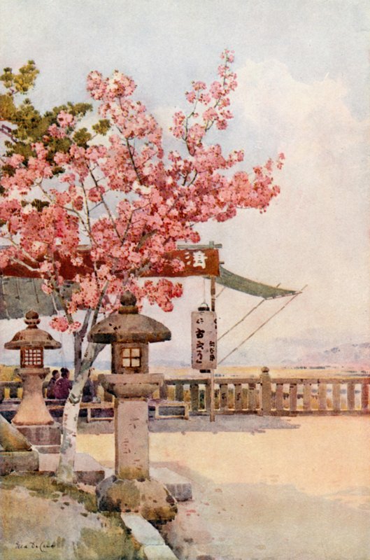 The Pink Cherry (farve litho) af Ella Du Cane