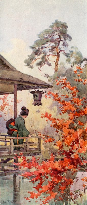 Se ahornene (farve litho) af Ella Du Cane