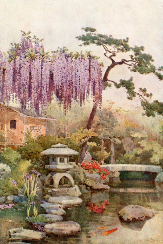 Wistaria i en Kyoto-have (farve litho) af Ella Du Cane
