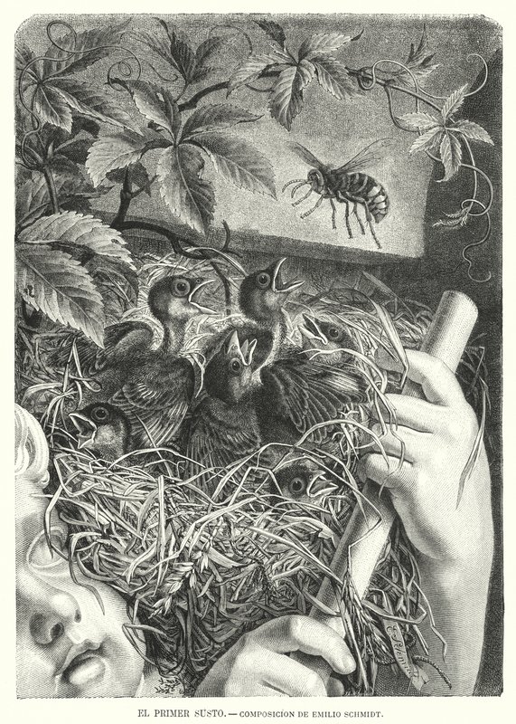 Den første forskrækkelse (litho) af Emil (after) Schmidt