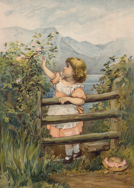 Pige rækker op for at plukke en blomst (chromolitho) af Emily Jane Harding Andrews