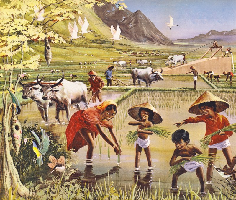 En ris- eller rismark i Malaya af English School