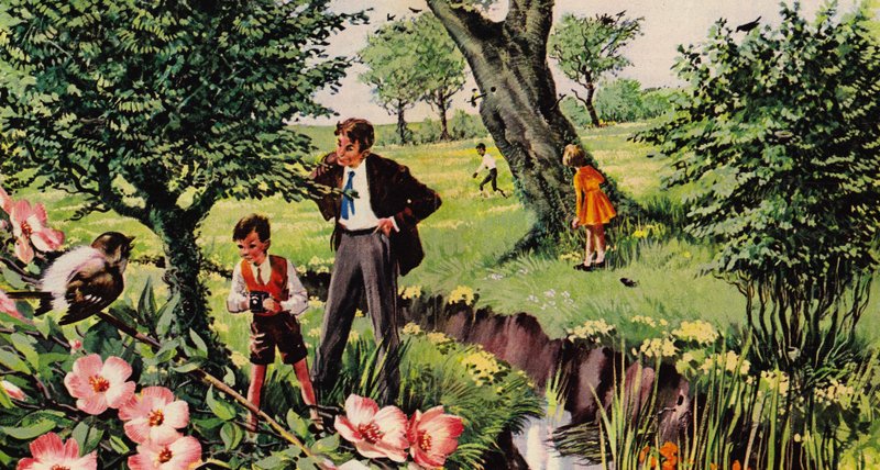 Fugle og deres reder af English School