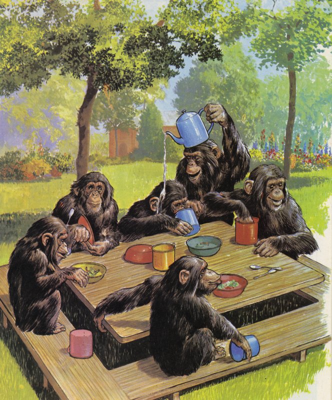 Chimpans teselskab i Zoo af English School