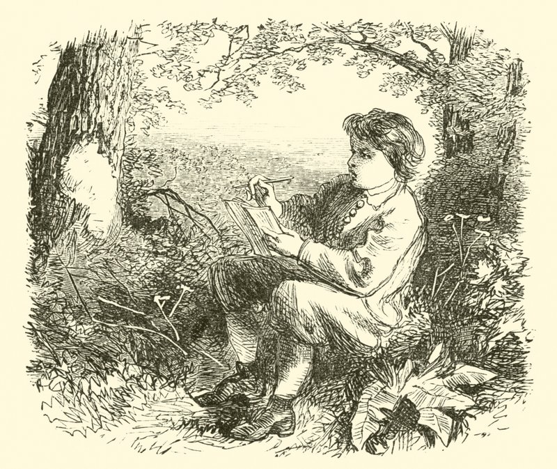 David Wilkie, drengen, der studerer fra naturen af English School