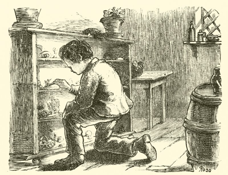Edward Forbes, der arrangerer sit miniaturemuseum af English School