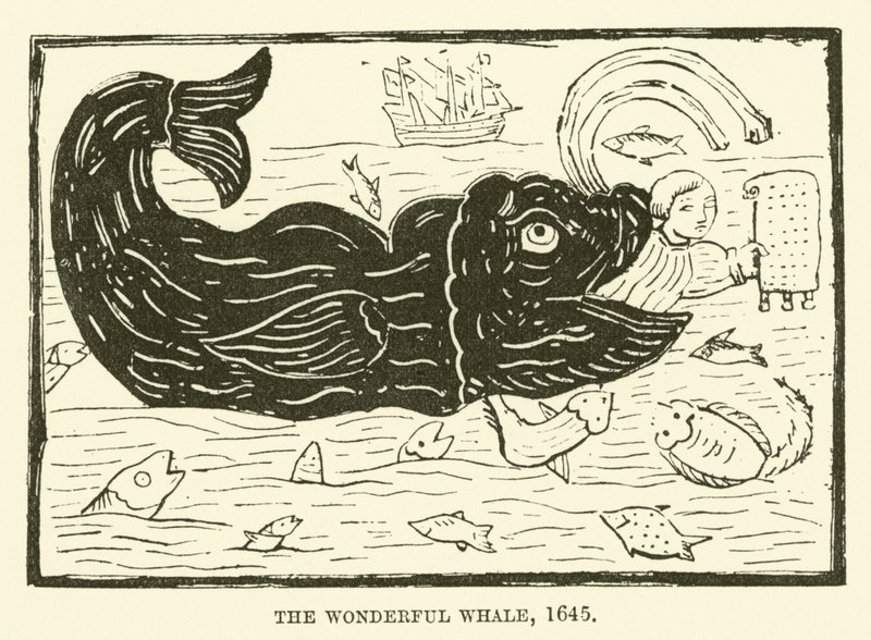 Den vidunderlige hval, 1645 af English School