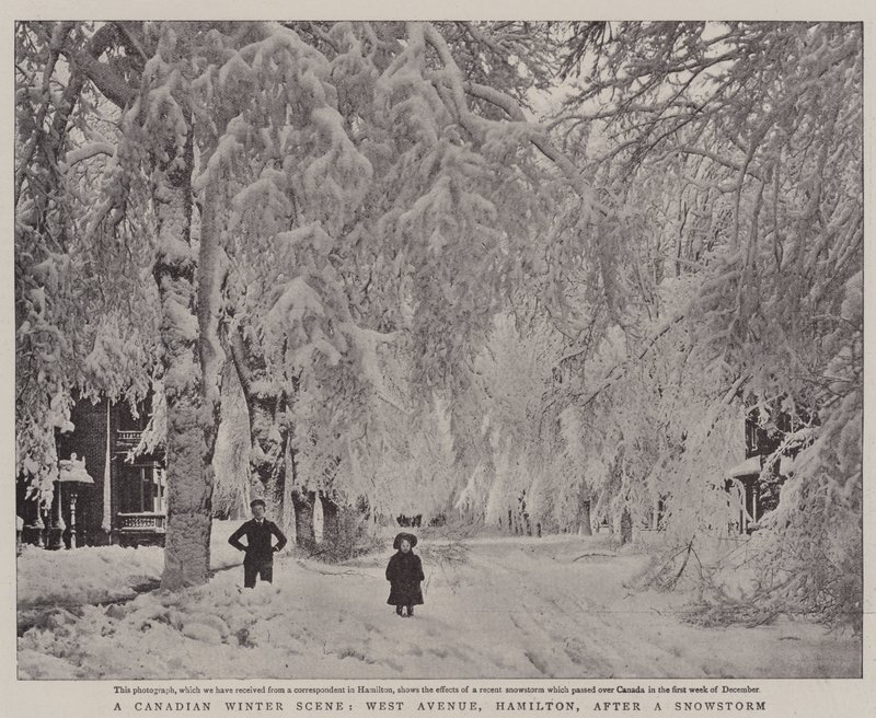 En canadisk vinterscene, West Avenue, Hamilton, efter en snestorm af English Photographer