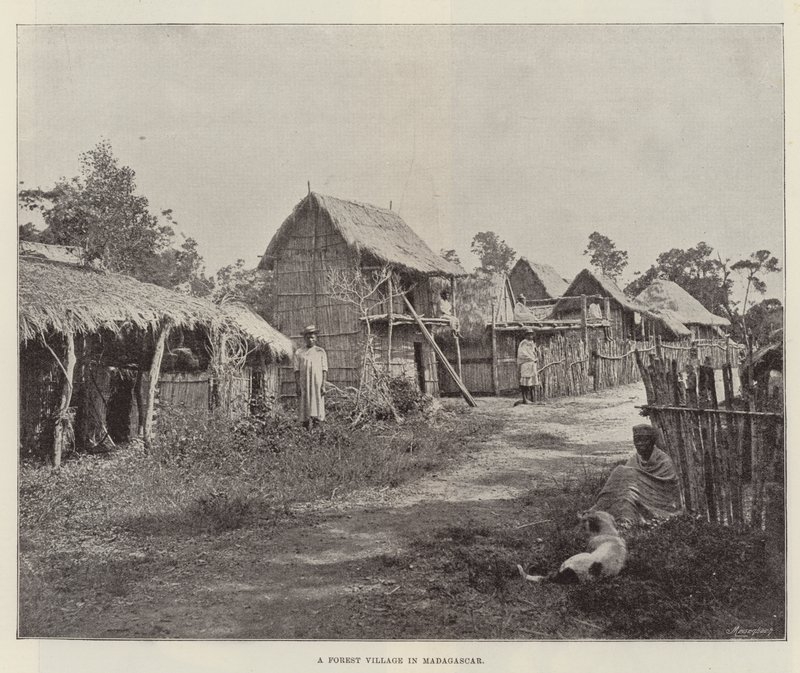 En skovlandsby på Madagaskar af English Photographer
