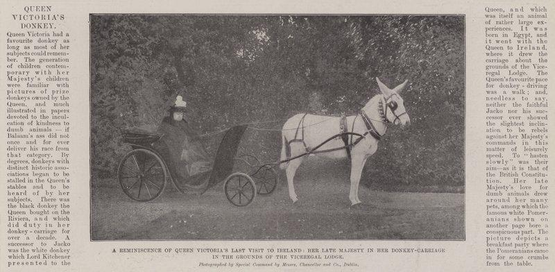 En reminiscens af dronning Victorias sidste besøg i Irland, hendes afdøde majestæt i hendes æselvogn på viceregallogens grund af English Photographer