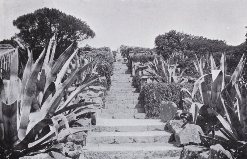 Lidt i haven ved Tresco (s/h-billede) af English Photographer