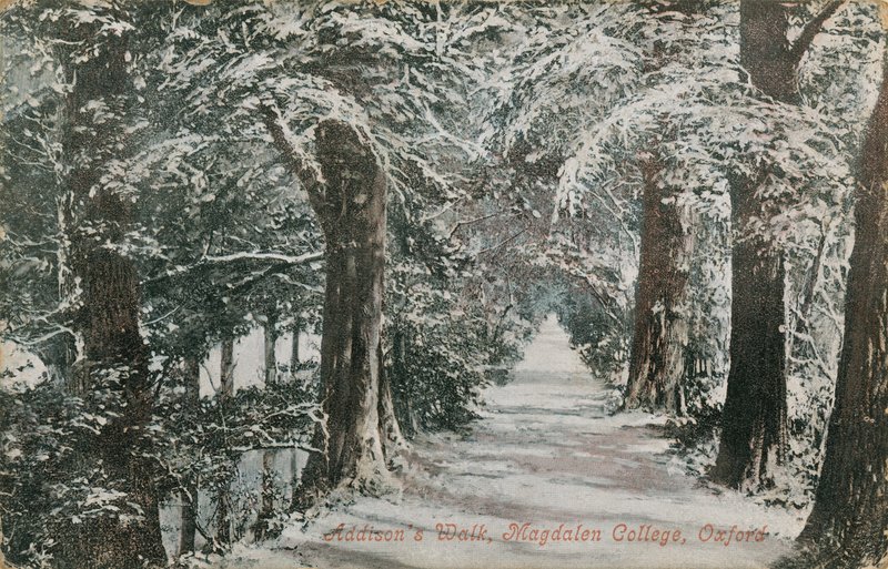Addisons Walk, Magdalen College, Oxford. Postkort sendt i 1913. af English Photographer