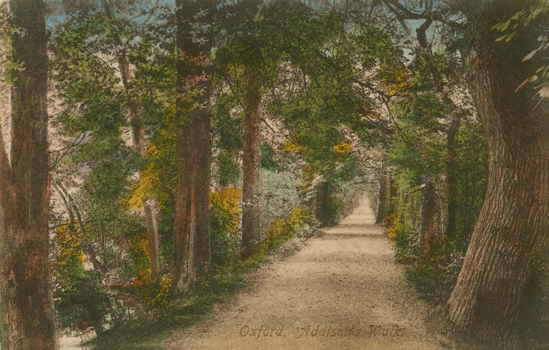 Addisons Walk, Oxford. Postkort sendt i 1913. af English Photographer