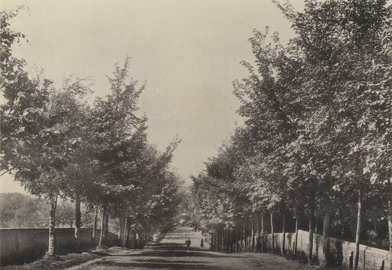 Aldeburgh, Westfields Avenue (s/h-billede) af English Photographer