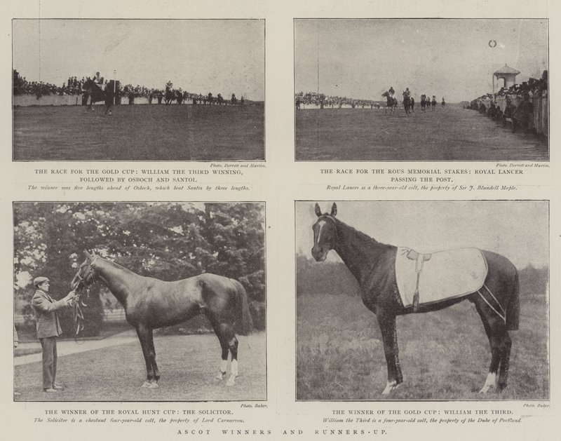 Ascot-vindere og andenpladser af English Photographer