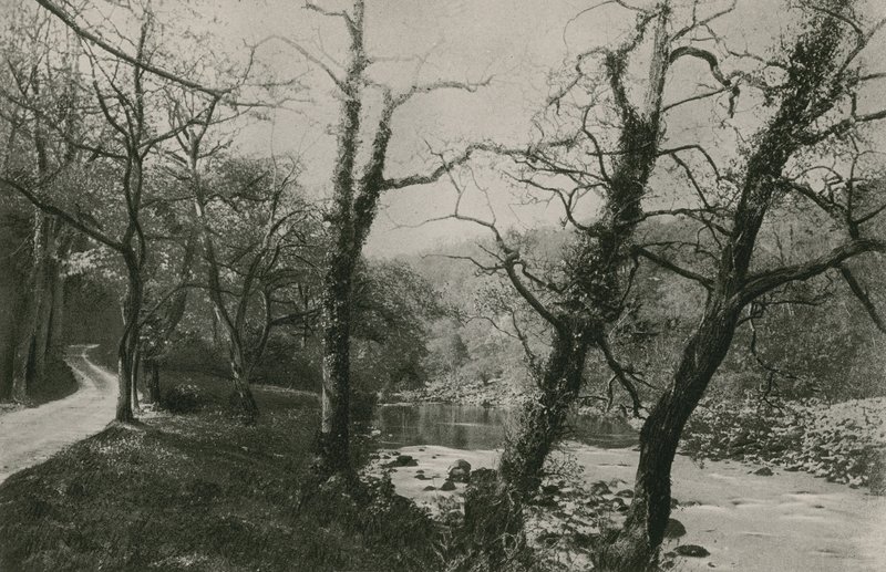 Bolton Woods af English Photographer