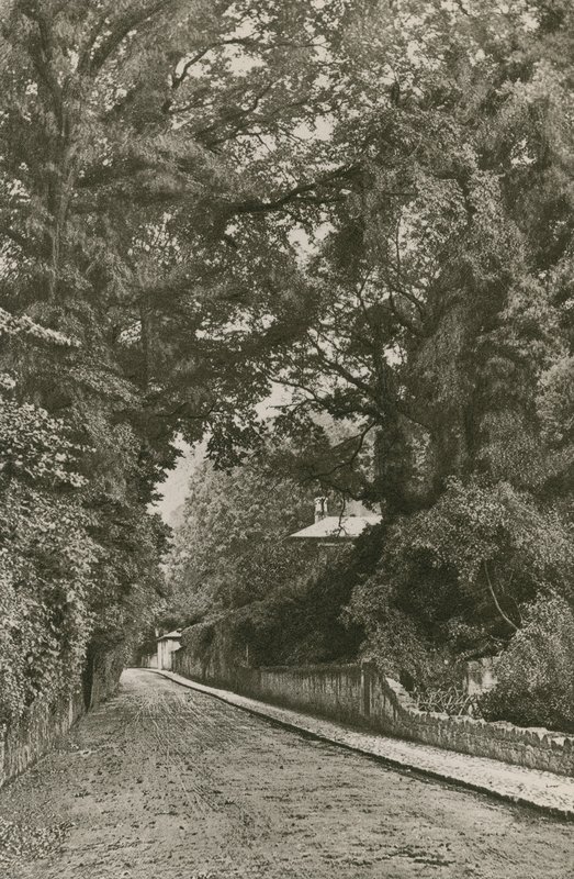 Bonchurch Road, Isle of Wight af English Photographer