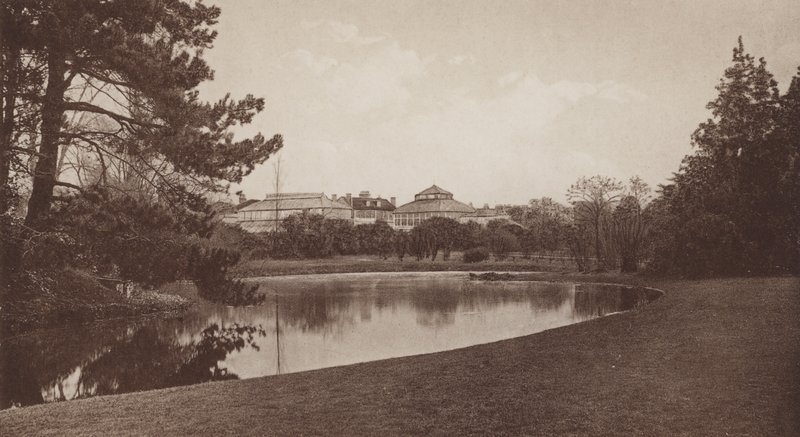Botanic Gardens, Cambridge (s/h-billede) af English Photographer