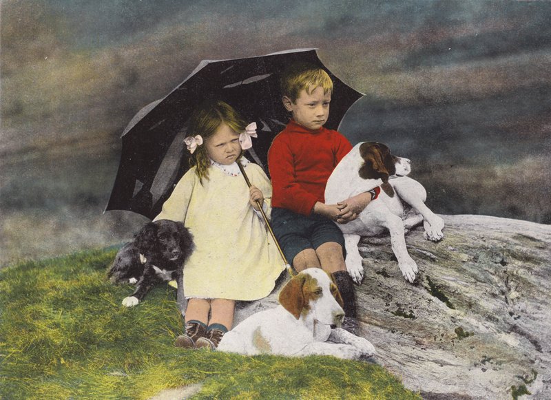 Dreng og pige med tre hunde i ly under en paraply (foto i farver) af English Photographer