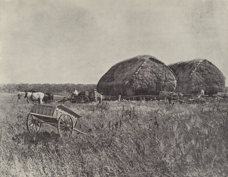 Canning Downs Station af English Photographer