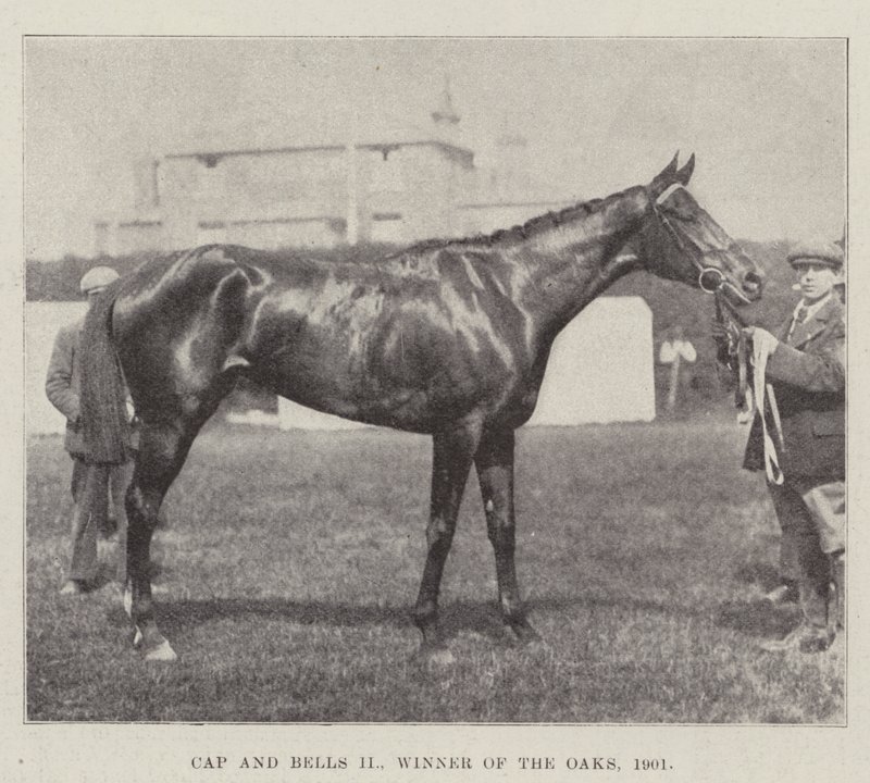 Cap and Bells II, vinder af Oaks, 1901 af English Photographer