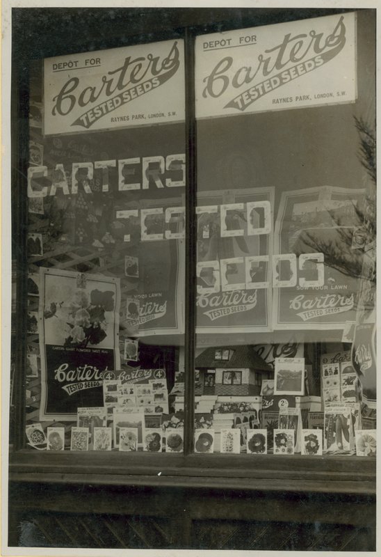 Carters testede frø Display af English Photographer