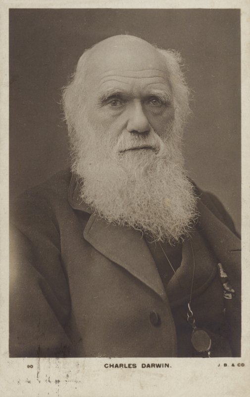 Charles Darwin (1809-1882), engelsk naturforsker af English Photographer