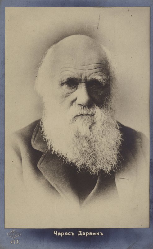 Charles Darwin (1809-1882), engelsk naturforsker af English Photographer