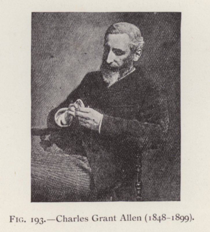 Charles Grant Allen (1848-1899), portræt (s/h-foto) af English Photographer