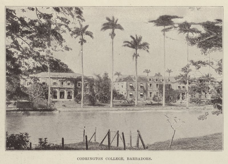 Codrington College, Barbados af English Photographer