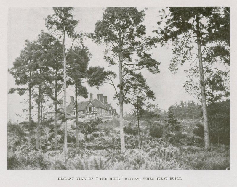 Fjernsyn over The Hill, Witley, Surrey, da den først blev bygget (s/h-foto) af English Photographer