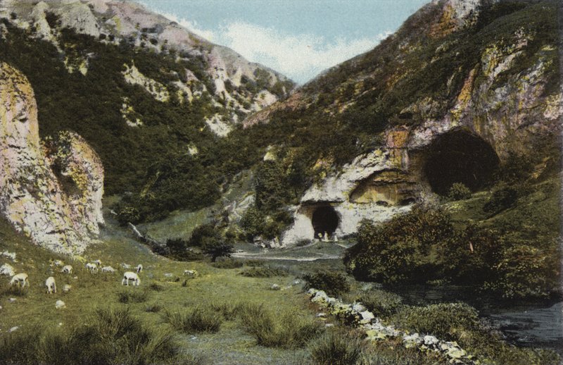 Dovedale, Duehuller af English Photographer