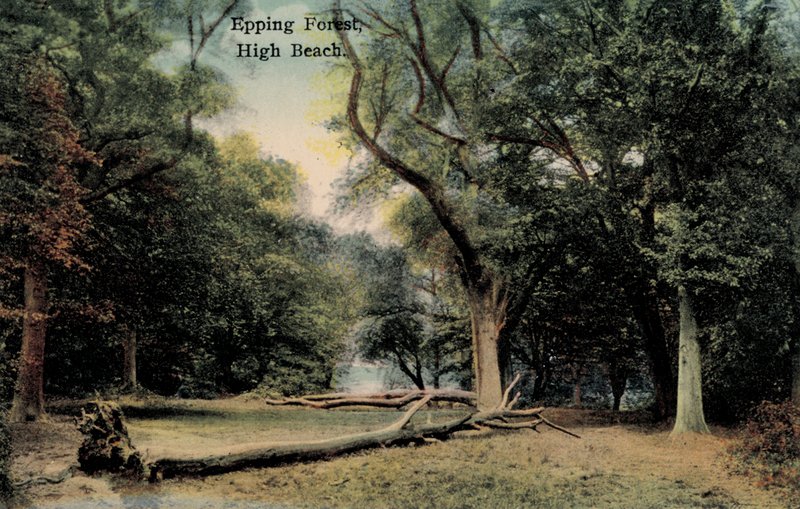 Epping Forest, High Beach (billede) af English Photographer