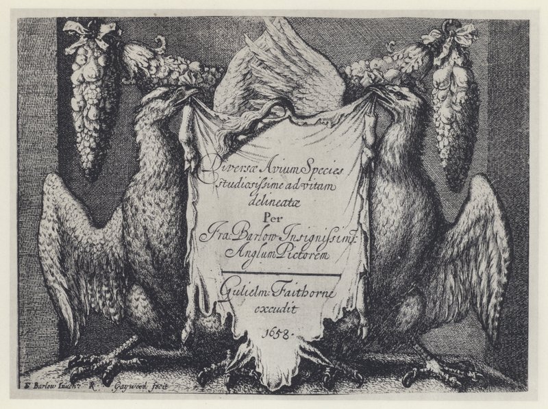 F Barlow, Diversae avium arter, G Faithorne 1658 (s/h foto) af English Photographer