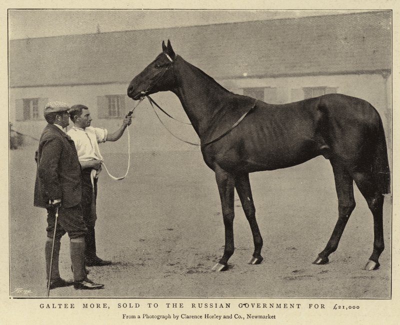 Galtee More, solgt til den russiske regering for £21.000 af English Photographer